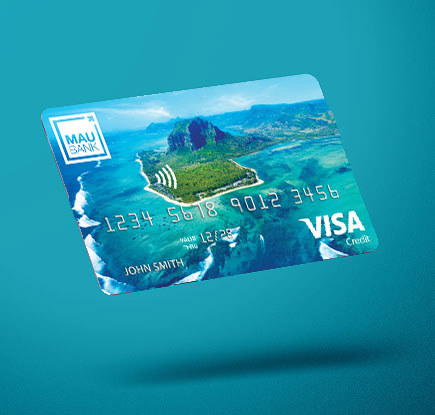 Visa Contactless Credit Classic